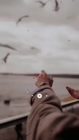 Tú - Noelia ❤️🎶✨ #Tú #Noelia #letradecanciones      #rolitasparaestados #videosconletras #letradecanciones #romancemusical1  #romanticas1parati