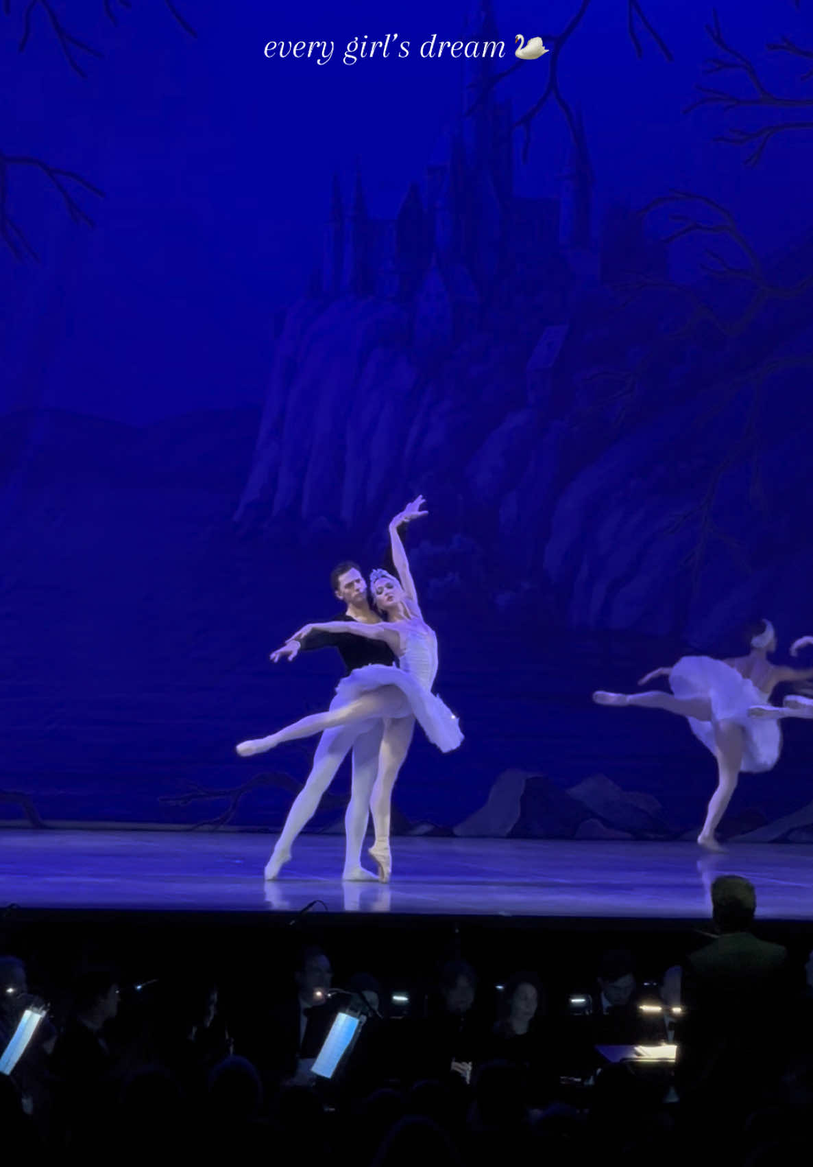 mentally here🦢🩰 #swanlake #blackswan #lacdescygnes #ballet #fypviraltiktok🖤シ゚☆♡ #pourtoiiii 