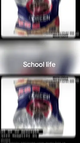 School life 