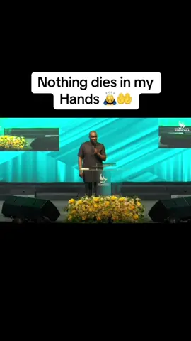 This is my Confession this week #ApostleJoshuaselman #Koinoniaeni #koinoniaglobal #happysunday #declarations #fyp #christiancontent