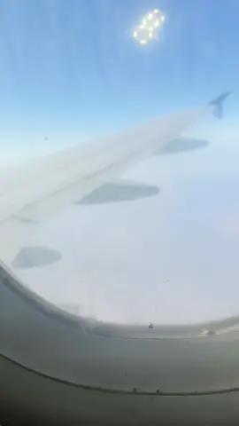 #الشعب_الصيني_ماله_حل😂😂 