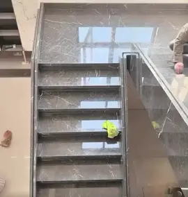 Hết tết hết xuân rồi ạ mn người cần e hỗ trợ tư vấn thi công cầu thang thì ib e nha #cầuthangđẹp #hiendai #fulloption #sangtrong #xuhuong 