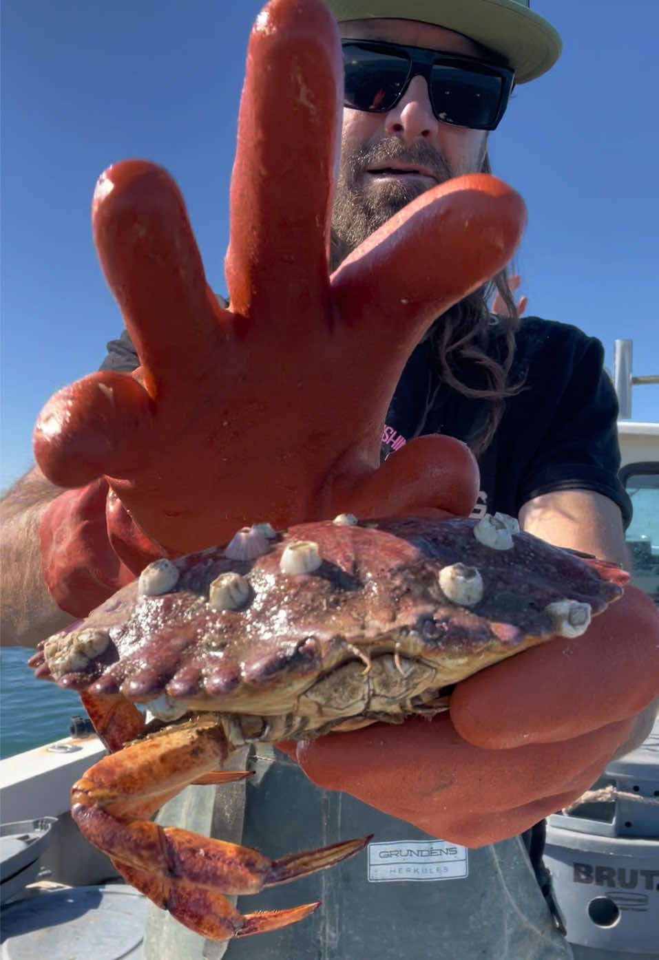 Barnacle Chronicles #asmr #barnaclechronicles #friendliestcatch 
