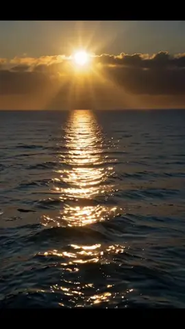 💕نور عينى💕تامر حسني #فيديوهاتي_تصاميمي🎶🎬  #اكسبلور  #مجرد________ذووووووق🎶🎵💞 #ترند #حالات_واتس  #الذوق_الرفيع  #حالات_واتس  #explore  #تامر_حسني #فيديوهاتي_تصاميمي #اغاني  #يا_نور_عيني #تصميمي #فن #اغنية #مزيكا #ميديا #fyp #fup #fupage #video #vir #viro #❤️ #اغاني_تامر_حسني #tamerhosny #tamer_hosny #تامرحسني #نور_عيني 