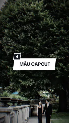 Chẳng cần vật chất chẳng cần spotlight.. #CapCut #edit #mẫucapcut #xh #nhachaymoingay #lyrics #capcutmaster 