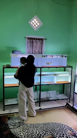 simulasi sek wo😍💦 #fypp #channaindonesia #channaauranti #trendvideo 