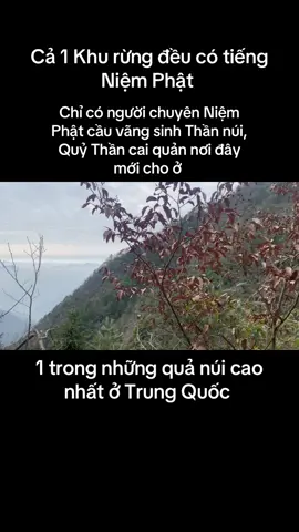 VÃNG SINH TÂY PHƯƠNG CỰC LẠC LÀ CUỘC HỘI NGỘ VĨ ĐẠI  KHÔNG VÃNG SINH LÀ CUỘC CHIA LY CHƯA CÓ NGÀY GẶP LẠI  XIN THƯỜNG NIỆM A DI ĐÀ PHẬT 🙏🙏🙏
