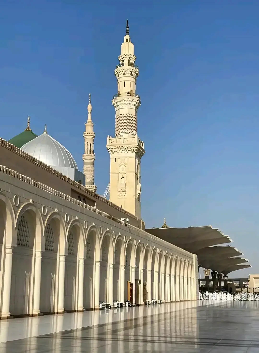 كل القلوب إلى الحبيب تَمِيل 💚 كلمات ابن الخياط  إنشاد الشيخ عبدالله الحبر 💚 كل القلوب إلى الحبيب ثميل  ومعي بِهَذَا شاهد وَدَلِيل  أما الدليل, إذا ذكرت محمداً  صارت دموع العاشقين تسيل  يا سيدي يا رسول الله  يَا عَلَمَ الهدى هَذَا المُتَيَم  في حِمَاكَ نَزِيلُ إن صَادَقْثَنِي  مِنْ لَدَنْكَ عِنَايَةً الأزورَ طَيْبَةَ  والمقام يطول هَذَا رَسُولُ اللهِ  هذا المُصْطَفَى  هَذَا لِرَب العالمينَ رَسُولُ  هذا النبي الهاشمي مُحَمَّد  هذا لكل العالمينَ رَسُولُ  هذا الغمامة ظللته إذا مشى  كانت تقيه إذا الحبيب يقيل  هَذَا الذي رد العيونَ بِكَفَهِ  لَمَّا بَدَتْ فوق الخدودِ تَسِيلُ  هذا الذى شرف الضريح بجسمه  منهاجة للسالكين سبيل  صَلَّى عَلَيْكَ اللَّهُ يَا عَلَمَ الْهُدَى  ما حن مشتاق و سار دلیل  وعلى جميع الآل والأصحاب  ما قال امروة  كل القلوب الى الحبيب تميل  اللهم صل على سيدنا محمد وعلى اله وصحبه وسلم  #الأدب_الصوفي  اللهم صلي وسلم وبارك على سيدنا محمد وعلى اله عدد كمال الله وكما يليق بكماله  اللهم صلي وسلم وبارك على سيدنا محمد وعلى اله وصحبه بقدر عظمة ذاتك يا احد يا رب بالمصطفى بلغ مقاصدنا واغفر لنا ما مضى يا واسع الكرم  #السودان #قطر #السعوديه #مصر_السعوديه_العراق_فلسطين #فرنسا🇨🇵_بلجيكا🇧🇪_المانيا🇩🇪_اسبانيا🇪🇸 #مشاهدات_تيك_توك #تفاعل #اسلاميات #500k #اكسبلو 