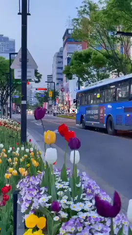 #lovekorea #dream 🇰🇷 #foryou #trending #100k #seoul #goviral 