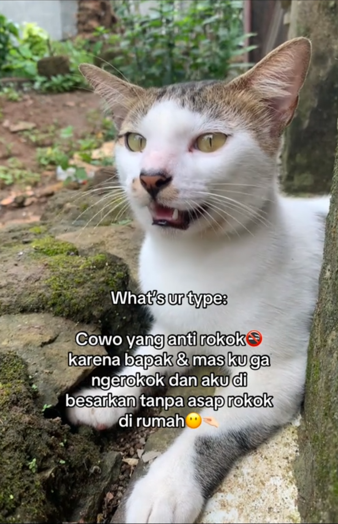 Rokok: Sama diri sendiri aja ga sayang gimana sama kamu🚭🙂‍↔️ punya duit kok d bakar mending buat jajan🙏🏼 #trend #fyp #nooffense 