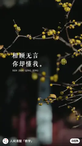 #情感语录 #情感共鸣 #情感陪伴 #治愈系列 #懂你的人#有人懂你 #希望你好 