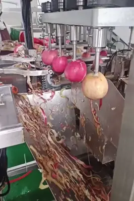 Explain this process - Part 262