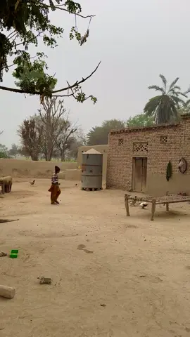 Real Life Of Village Beautiful Sunset Amazing View 🏠 Dream Home See Beautiful Animal s and Chicken ❤️Plz Unfreeze My Video TikTok#creatorsearchinsights#cabinlifestyl #tik_tok #foryoupage❤️❤️ #viral_video #fyp #unfreezemyacount #cozyvibes 