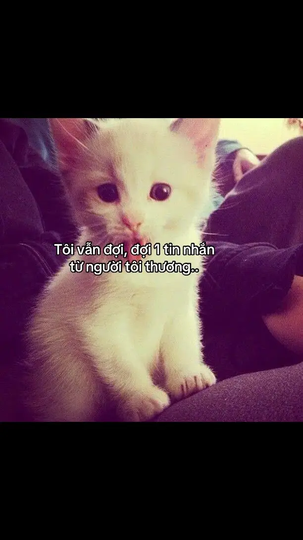 vẫn đợi..#ddnxuhuong 