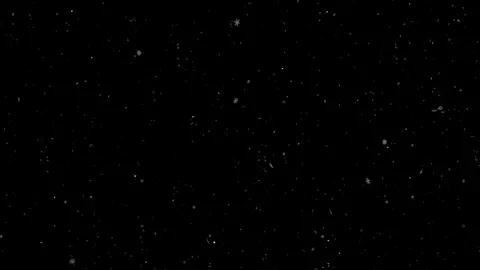 تفاعل نازل اعادت نشر َ َ َ #شاشهسوداء #اغاني_مسرعه💥 #ردحححححححح💃💃💃💃 #fyyyyyyyyyyyyyyyyyyy #تصميم_فيديوهات🎶🎤🎬 #تصميمي #شاشة_سوداء🖤 #شاشه_سوداء_لتصميم_الفيديوهات💕🥺🦋 #تصميمي🌚 #يونس_العبودي #تصميمي🎬 #تصميمي❤️ #fypシ #ردححح😂💃💃 #fyp #ساجده_عبید_💞 #فهد_نوري #تصميمي_رايكم #Sing_Oldies 