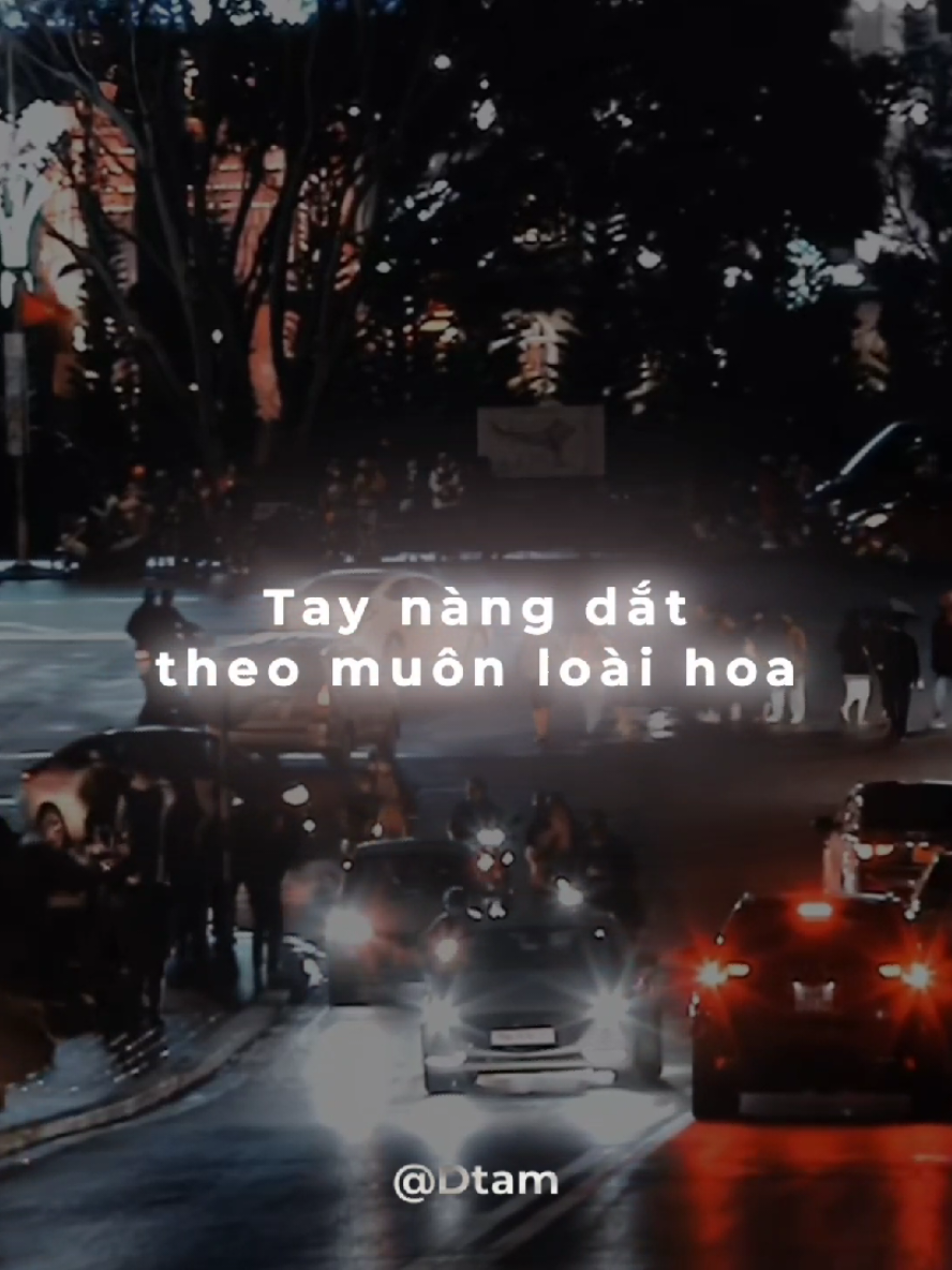 // Nàng Công Chúa Nhỏ - buitruonglinh #dtam #nangcongchuanho #lyrics #buitruonglinh 