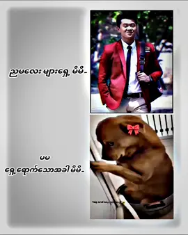 #မမလပ်ဗာ😜💗 #fypシ゚ #fypシ゚viral🖤tiktok #ဒီတပုဒ်တော့viewsတက်ချင်တယ်🥺 