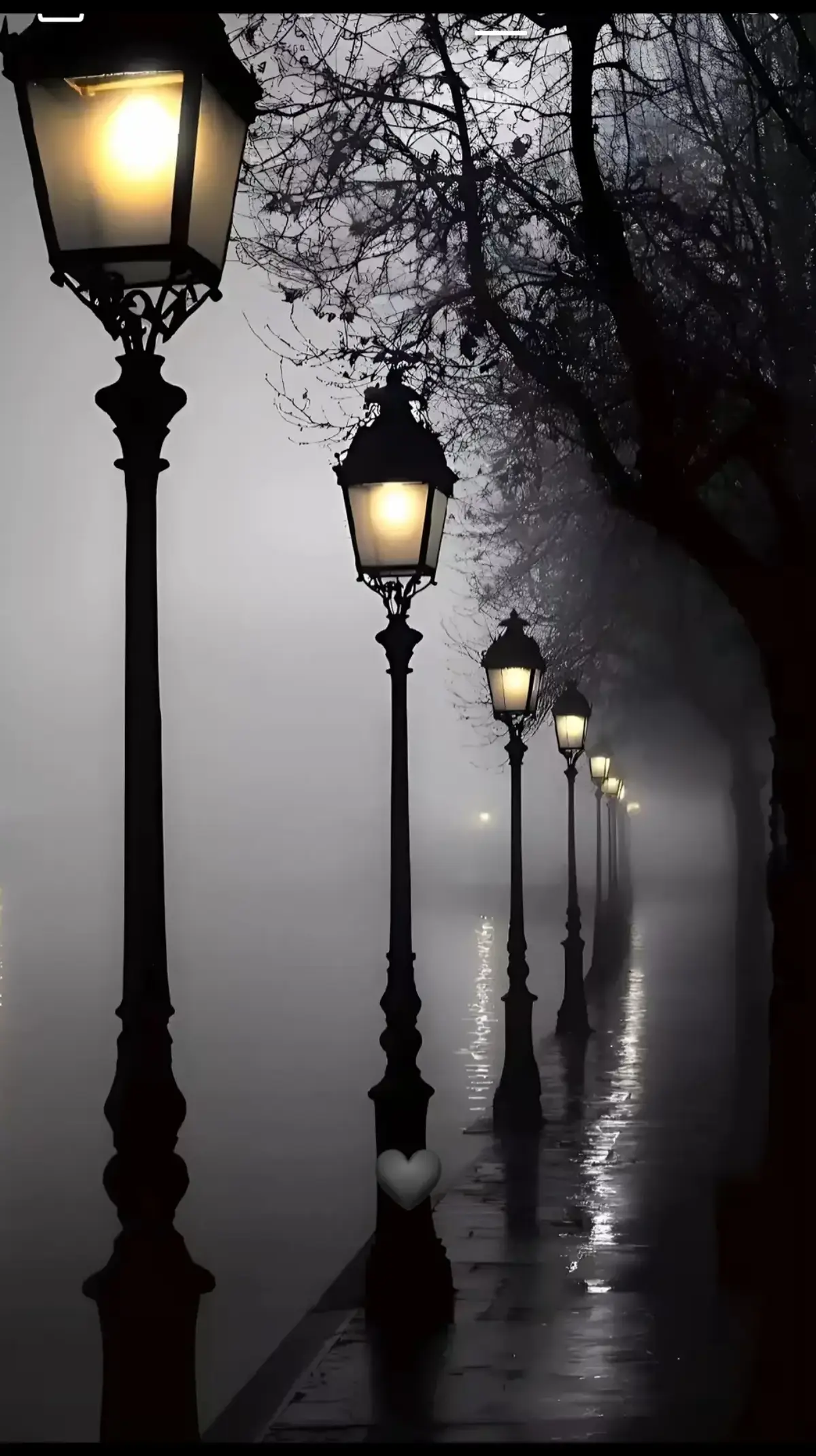 #يا_حبيبي #فيروز #♥️ #viral_video  #VoiceEffects  #tik_tok  #fyp  #treanding 