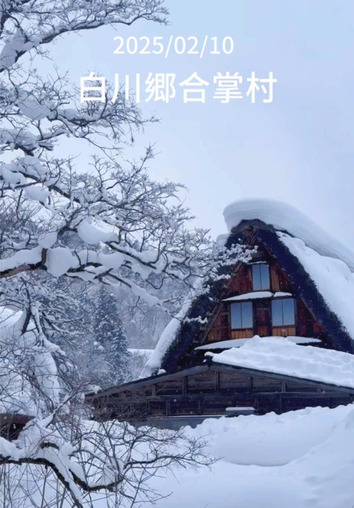 2/10白川郷合掌村 積雪量すごい！ 暴雪过后的白川乡积雪量惊人.. #名古屋绿牌包车 #NAGOYA_LJ #白川郷合掌村 #冬と春のホテルキャンペーン #日本旅行攻略 #北陸旅行 #高山古い町並み #日本私人导游 #富山 #名古屋観光 #名古屋ハイヤータクシー #升龙道旅行 #名古屋绿牌车队 #白川郷 #日本包车 #shirakawago 