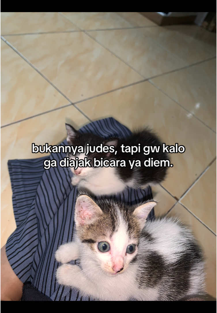 #4u #fyp #foryou 