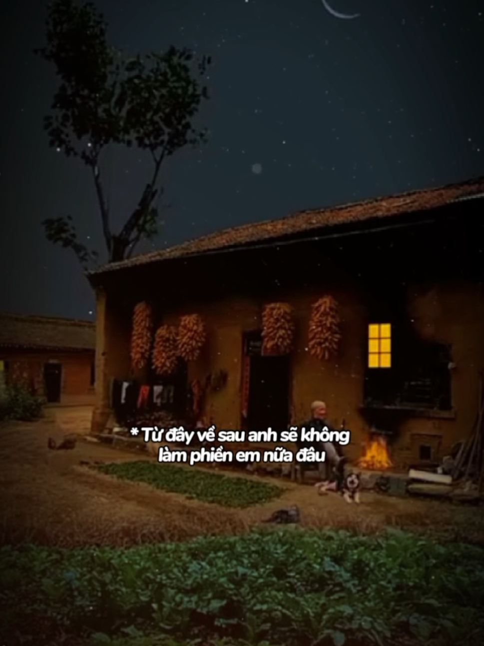 𝐓ừ đâ𝐲 𝐯ề 𝐬𝐚𝐮 𝐞𝐦 𝐬ẽ 𝐤𝐡ô𝐧𝐠 𝐥à𝐦 𝐩𝐡𝐢ề𝐧 𝐚𝐧𝐡 𝐧ữ𝐚 đâ𝐮...🥀🥀🥀 #nhactamtrangbuon #nhachay🎶 #nhachaymoingay #binganhoa💔 #videotamtrang💔 #podcast🎶 