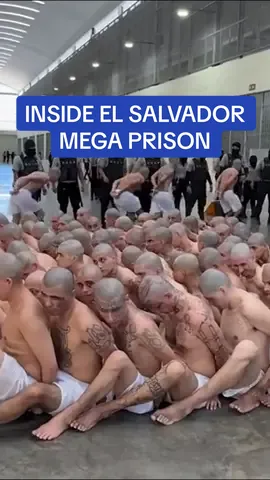 EXCLUSIVE: See inside the notorious El Salvador mega prison, which houses up to 40,000 of the most dangerous gang members in brutal conditions.  Prisoners are required to stay in their cells, on metal frames where they sleep, for 23 and a half hours per day, with most incarcerated for the rest of their lives.  #elsalvador #prison #gangs #prisontiktok 