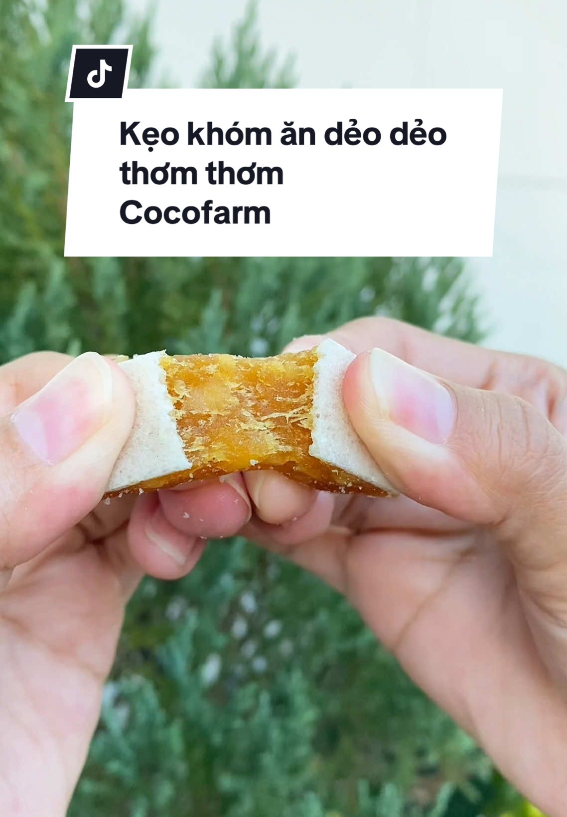 Kẹo khóm tươi ăn dẻo dẻo thơm thơm, có lớp bánh tráng giòn giòn okela quá #kẹo #keokhomduanon #keokhom #anvat #review #food #tiktokmademebuyit 