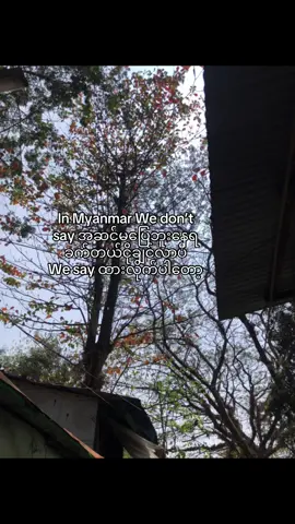 သာမန်ပါပဲ #foryoupageofficiall #tiktoknews #tiktok 