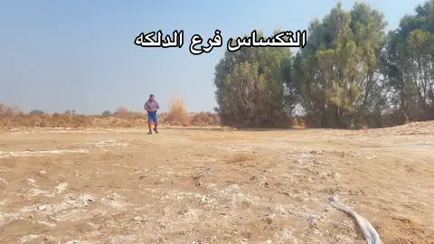 #الشعب_الصيني_ماله_حل😂😂 