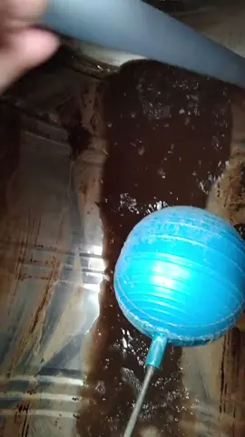 Bồn nước sau nhiều năm không vệ sinh, nước như bùn luôn #kinhtehomnay #vesinhbonnuoc #anhbavesinhbonnuoc #bonnuoc 