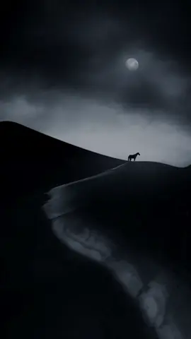 ❤️‍🩹🌸 #unfreezemyacount #fyp #foryou #foryoupage #islamic_video #muslimtiktok #allahuakbar #fypシ #tiktokofficial #bdtiktokofficial #fyppppppppppppppppppppppp #tiktok #whattowatch 