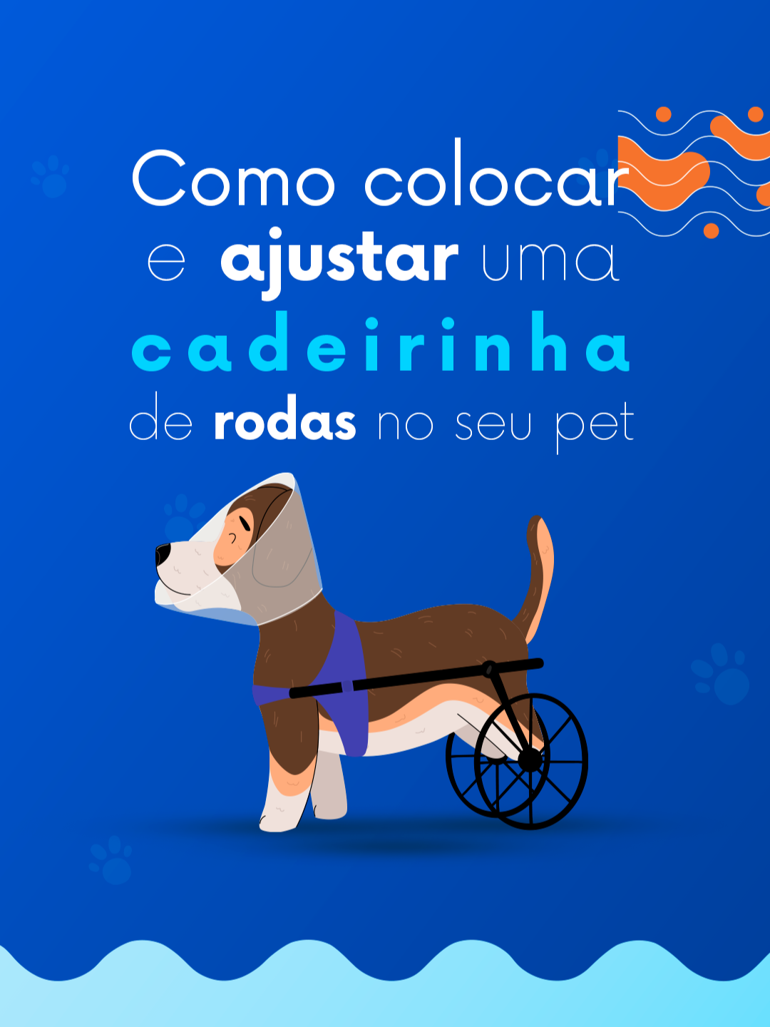 🚀 Passo a Passo: Como Colocar Seu Pet na Cadeirinha 🐶🦽 Seu pet já tem uma cadeirinha? Então bora aprender como colocar ele de forma fácil e segura! 👇 1️⃣ Prepare a cadeirinha – Certifique-se de que está montada certinho conforme o manual e ajustada ao tamanho do seu pet. 2️⃣ Solte as guias – Libere a alça superior e a do peitoral. A guia inferior já vem fixa. 3️⃣ Posicione seu pet – Coloque a cadeirinha atrás do seu doguinho e levante as patinhas traseiras, encaixando no formato X da estrutura. 4️⃣ Ajuste as alças – Puxe a parte da frente da cadeirinha, prenda primeiro a alça superior e depois a do peitoral. 5️⃣ Conforto em primeiro lugar – Se precisar, regule as alças para um ajuste perfeito, nem muito apertado nem folgado. Pronto! Agora seu pet pode se movimentar com mais autonomia e qualidade de vida! ❤️🐾 👉 Tem dúvidas? Comenta aqui! E se achou útil, salva esse post para consultar depois! 📌 #PetsEspeciais #CadeirinhaParaCães #MobilidadePet #CãoEspecial #VidaComQualidade #AcessibilidadePet #CachorroParaplégico #PetComDeficiência #DicasParaPets #CuidadosComPets #AmorPeludos #DogLife #PetLover #TutoresDeCães #DicasDePet #InclusãoPet #CachorroFeliz #BemEstarAnimal #CadeirinhaDeRodas #DogWheelchair #MelhorAmigo #AmorSemLimites #TutoresConscientes #PetBest