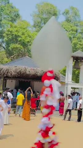 #trending #for #foryoupage #gangstersquad #viral #srilanka #katharagamadewalaya #harohara #katharagama #kathargama @k.b.malshan @Ishan samarasinghe @👈🔥Fáwàz Cóòl Bøy🔥👉 [2000] @user11964846545 @𝙎𝙝𝙚𝙣𝙪 𝙝