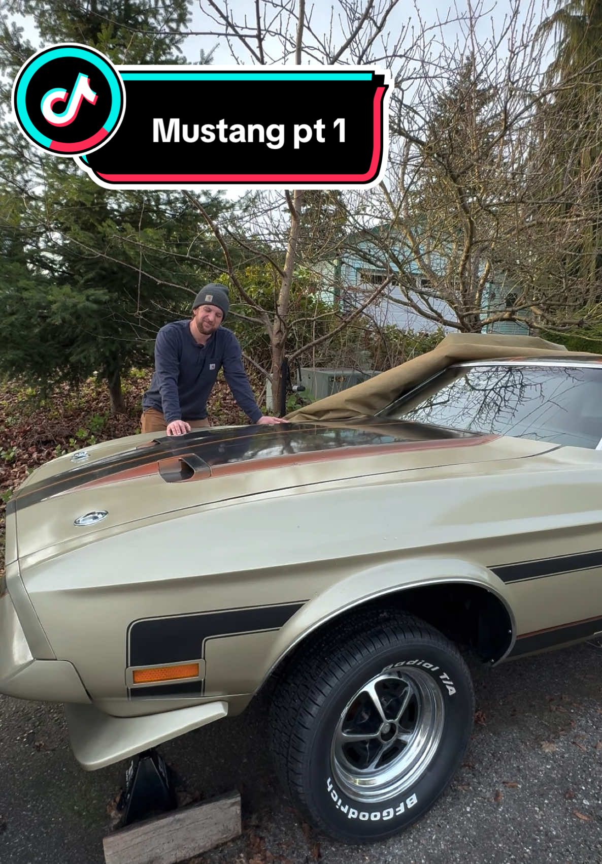 It’s finally Mustang time. Let’s see how much I can get done before my wing gets clipped. #351c #mustang #mach1 #carsoftiktok 