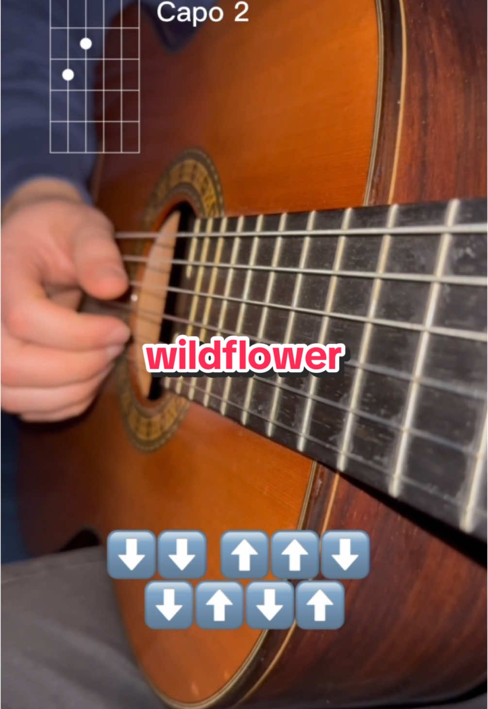 how to play wildflower - billie eilish #guitartutorial #fyp #guitar #guitartok #guitarlesson #guitarlessons #guitarchords #tutorial #billieeilish #wildflower 