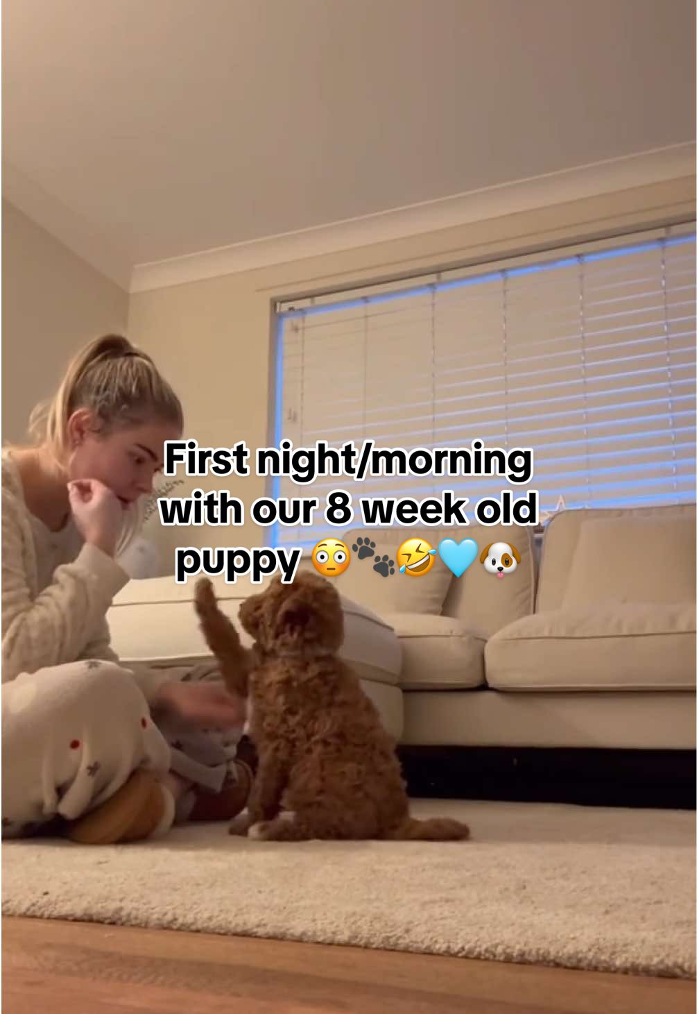 If I look tired on this vid it’s because I AM x 🤣 #fyp #newpuppy #puppysfirstnight #australianlabradoodle #labradoodlepuppy #8weekoldpuppy #puppyowner #minivlog 