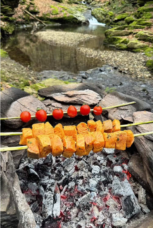 Norwegian salmon with orange sauce on a skewer stick in nature 🐟🍣🪵🔥💦 #outdoorcooking #cookingasmr #Recipe #leon #cookingnature #foodtiktok #camping #salmon 