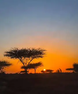 meeshaan yay dhaxantu uga duushay😂🫅@Claahi..godhe A10s #wilisaqo #cayrnimo🎅💗 #duduble #murusade #ceyr #sabuux #matabaan #galmudug #ceyr___gril #habargidir #dhaanto #miyi #qaraami #guriceel_janaad💙🤍💚 #somalitiktok #xawaadle #dueto 