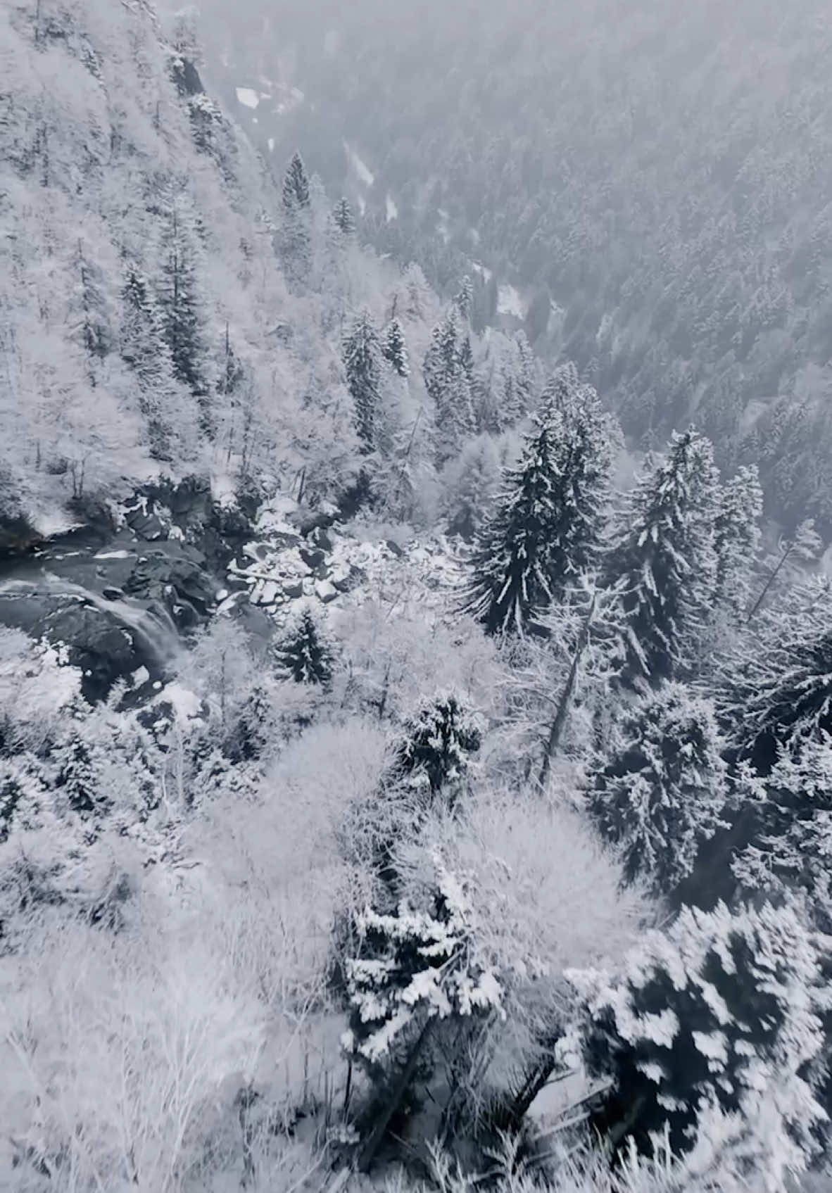 Found a magical frozen waterfall in the mountains. #dolomites #dolomiti #mountains #mountain #mountainview #mountainviews #mountainlife #mountainvibes #climber #Hiking #dji 