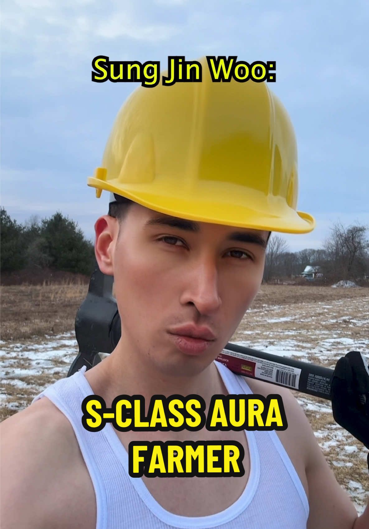S-Class Aura Farmer #anime #sololeveling #sungjinwoo 