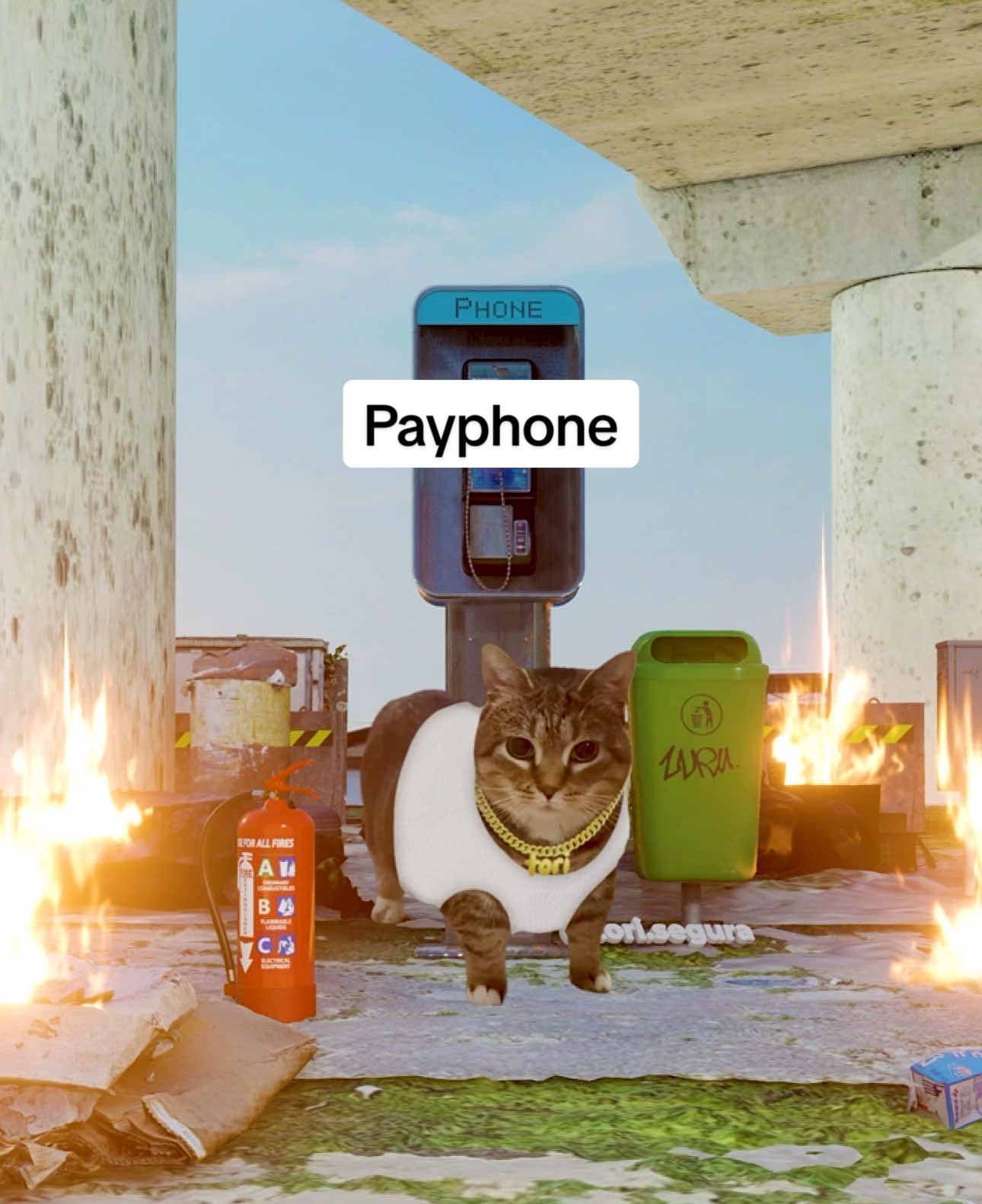 I’m at a a u 🗣️📞 OIIA Cat x Payphone by Maroon 5 🔥 @oiacatethel #cats #lyrics #maroon5 #foryou #fyp 