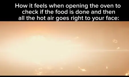 How it feels when you open the oven and all hot air goes right to your face: ##godzilla##goodboy##relatable##fyp##fire##ghidorah