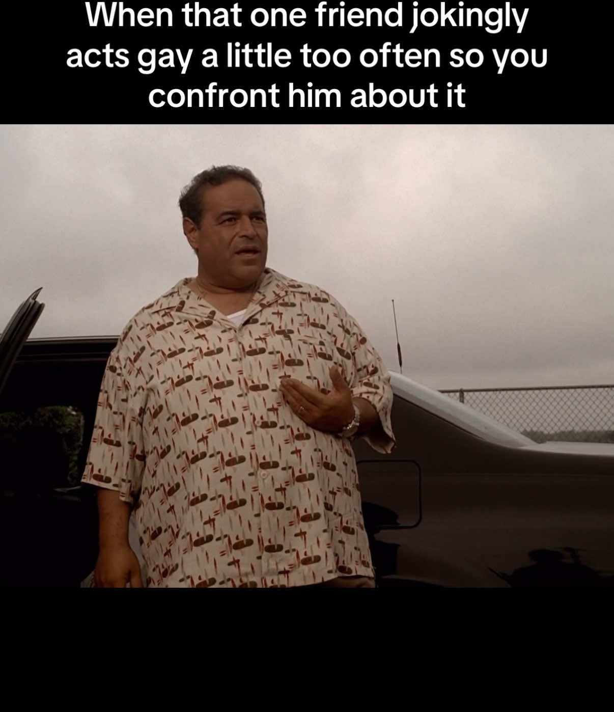 #meme #thesopranos #tonysoprano #tvshow #based 