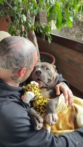 Tenerone il mio bimbone peloso 😍❤️