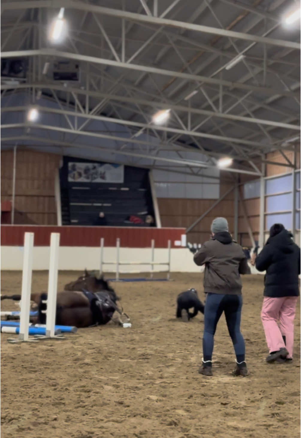 The steady six 🤏🏼💪🏼🫵🏼😎😎 #foryoupageofficiall #sinunsivuillesi #equestriantiktok #horsesoftiktoktok #showjumping #fails #ridingfail 