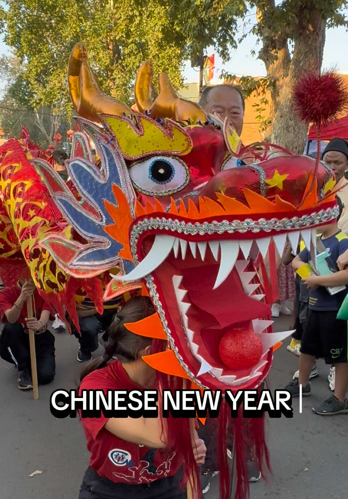 Chinese new year diary part 4  #chinatown #cyrildene #southafrica #johannesburg #southafrica #fyp #foryoupage #liondance #asia #snake #southafricatiktok🇿🇦 #southafricantiktok #food #dimsum 