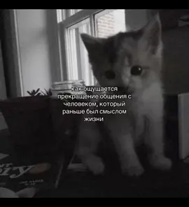 #щп #щпвидео #fürdich #foryoupage #репосты #fyp 