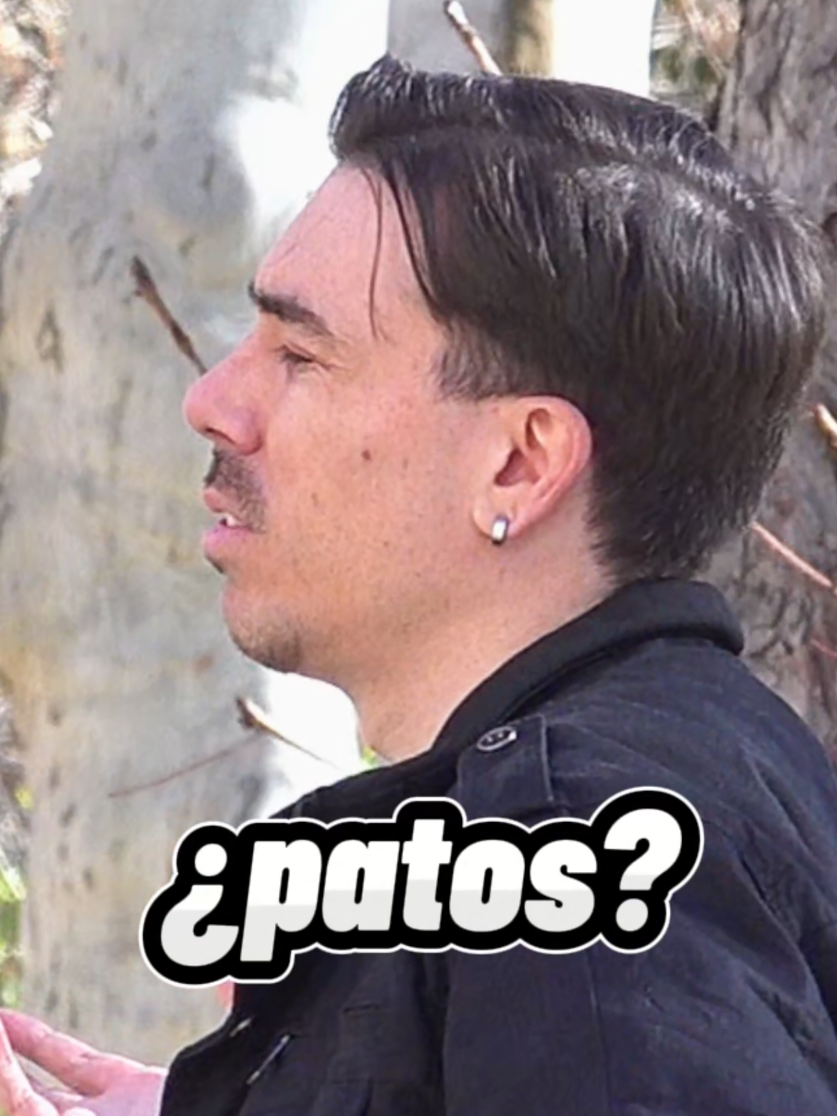 El ladrón de patos 🦆👀