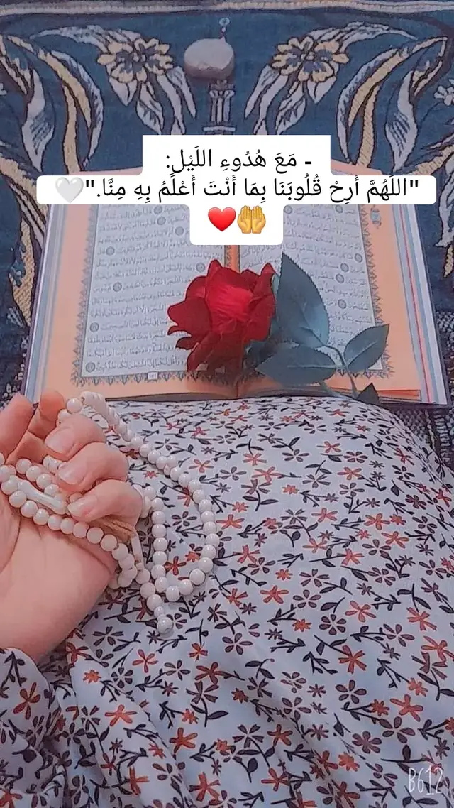 #قران_كريم #تصميم_فيديوهات🎶🎤🎬تصميمي🔥 #تصميم_فيديوهات🎶🎤🎬 #تصميمي❤️ #تصميم #مشاهدات_تيك_توك #اكسبلورexplore #fypシ #foryou #viral #foryoupage 