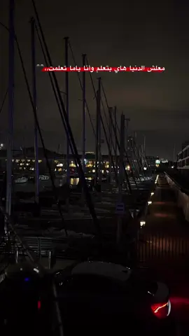 #هرتسليا #يافا #كفر_قاسم_48 #تل_ابيب #حيفا_فلسطين_عرب_48 #تل_ابيب #الناصره_الشامخه👑🦅 #قلنسوة_طيبة_طيرة #f #foryou #fypシ #fypage #fyp #fypシ゚viral #foryoupage #fyppppppppppppppppppppppp #رهط #رهط_تل_اسبع_اشقيب_عرعره_حوره_بير_هداج  @🖤BLACK🖤 